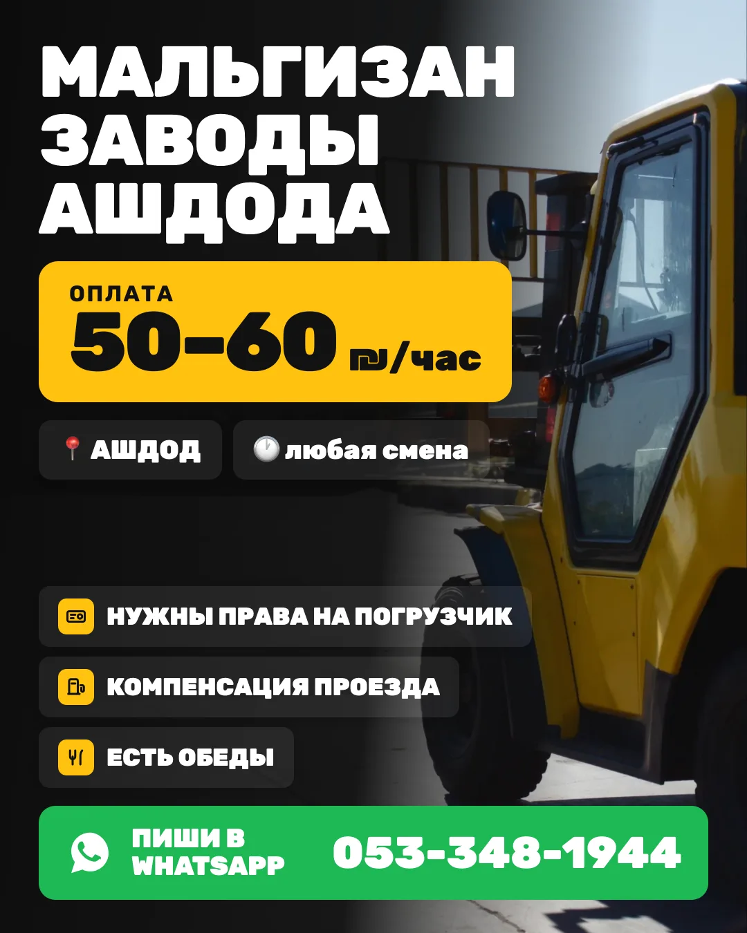 Мальгизан — разные заводы — Ашдод
